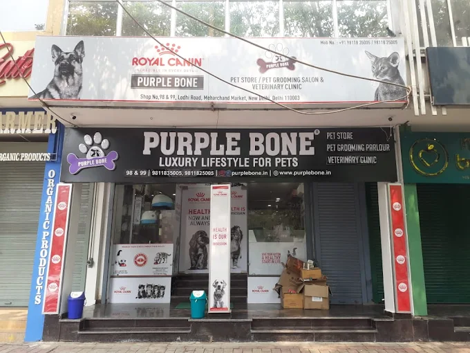 Purple Bone - Pet Shop