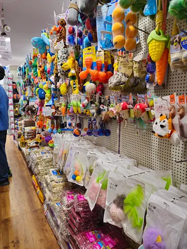 Purple Bone - Pet Shop
