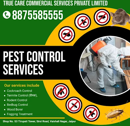 True Care Commercial Services