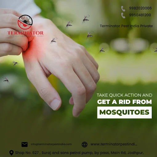 Terminator Pest India private limited