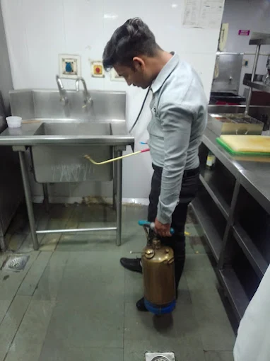 Maxcellent Pest Control Solutions Pvt. Ltd.