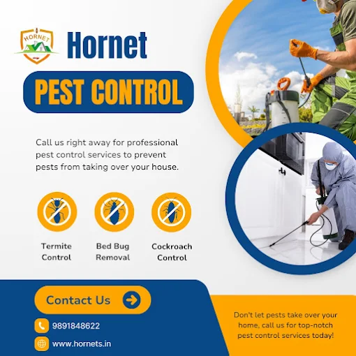 Hornet Pest Control Services Delhi