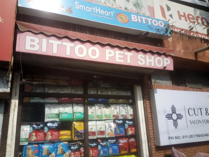 Bittoo Pet Shop Delhi