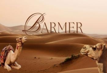 Barmer